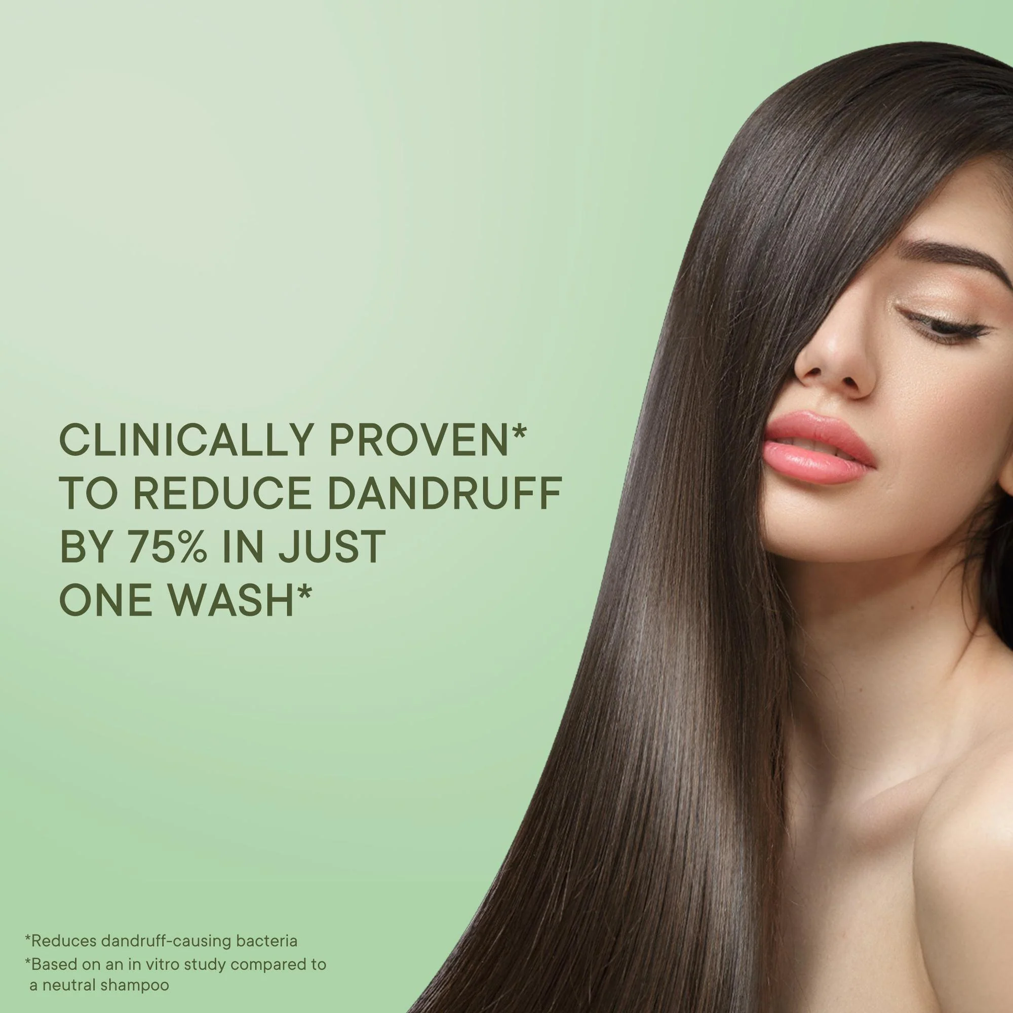 Anti Dandruff Shampoo with Tea Tree Extracts - 250 ML - Image 2